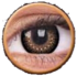 EyeLush Brown