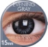 BigEye - Evening Gray