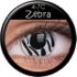 Crazy - 4-7C Zebra