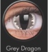 4-AE GREY DRAGON